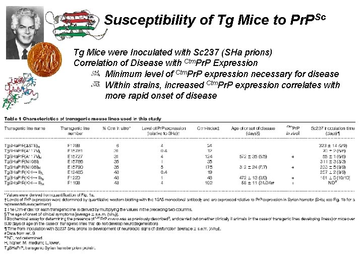 Susceptibility of Tg Mice to Pr. PSc Tg Mice were Inoculated with Sc 237