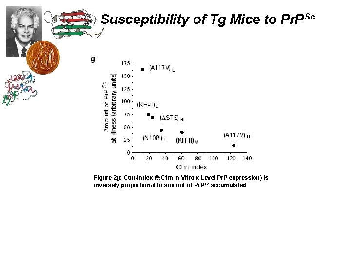 Susceptibility of Tg Mice to Pr. PSc Figure 2 g: Ctm-index (%Ctm in Vitro