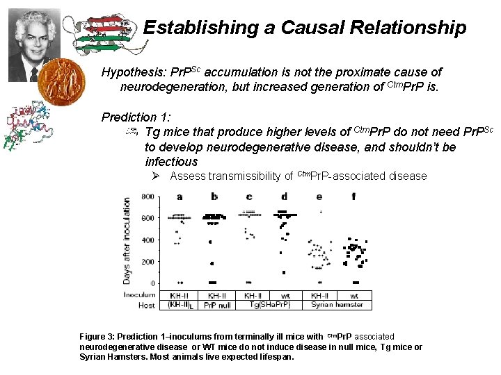 Establishing a Causal Relationship Hypothesis: Pr. PSc accumulation is not the proximate cause of
