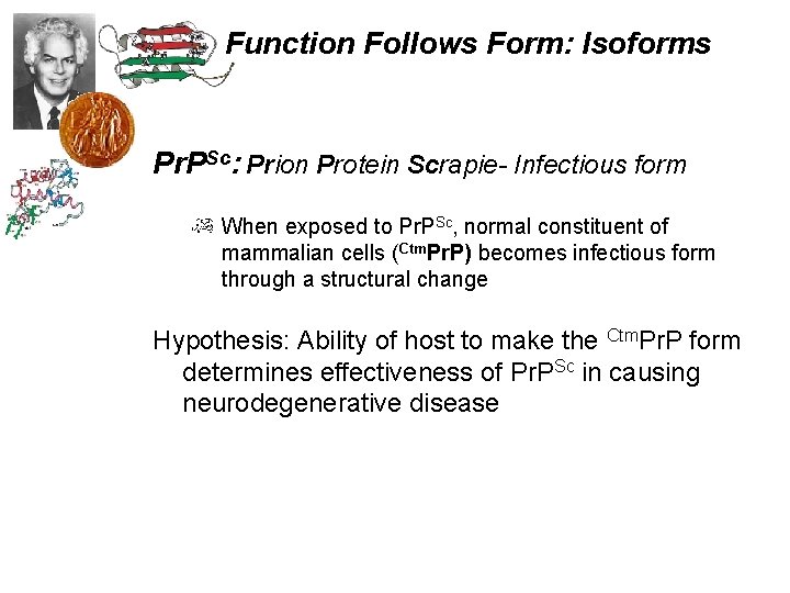 Function Follows Form: Isoforms Pr. PSc: Prion Protein Scrapie- Infectious form When exposed to