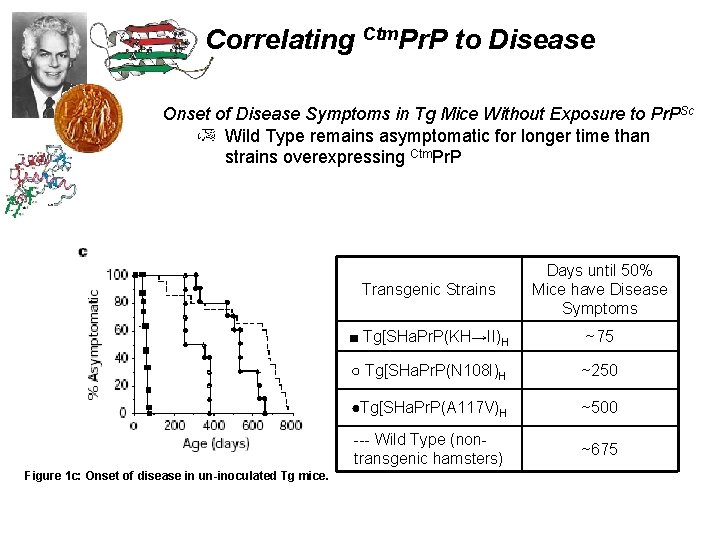 Correlating Ctm. Pr. P to Disease Onset of Disease Symptoms in Tg Mice Without