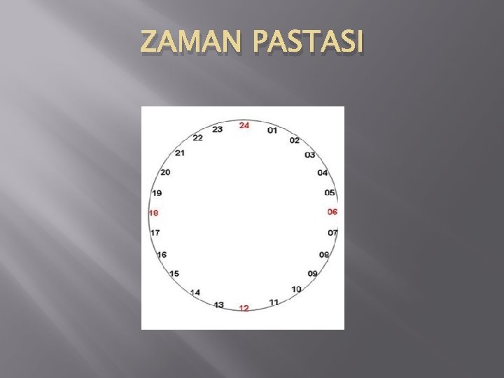 ZAMAN PASTASI 