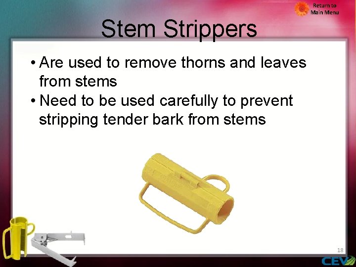 Stem Strippers Return to Main Menu • Are used to remove thorns and leaves