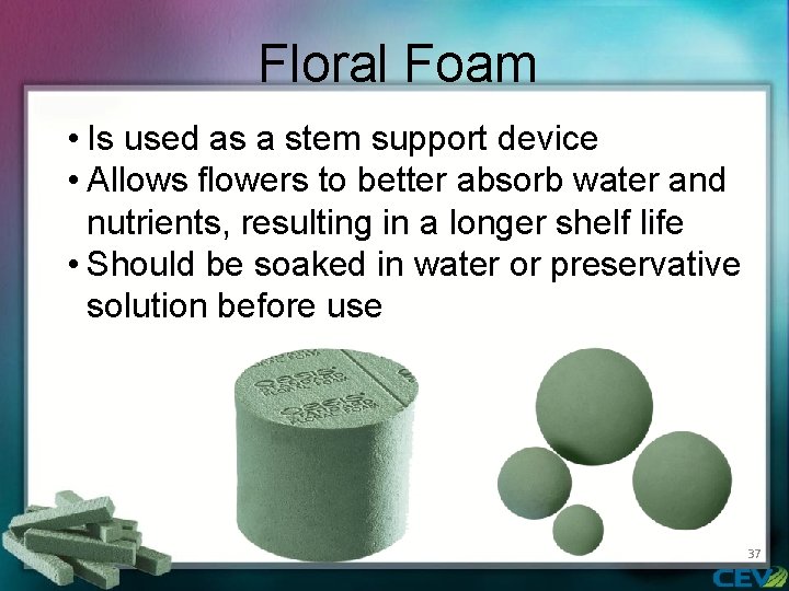 Floral Foam • Is used as a stem support device • Allows flowers to