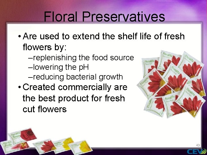Floral Preservatives • Are used to extend the shelf life of fresh flowers by: