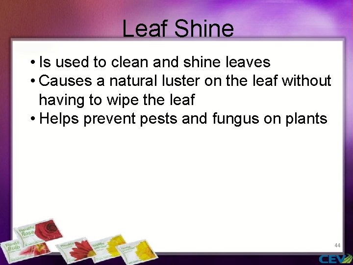 Leaf Shine • Is used to clean and shine leaves • Causes a natural