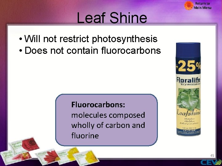 Leaf Shine Return to Main Menu • Will not restrict photosynthesis • Does not