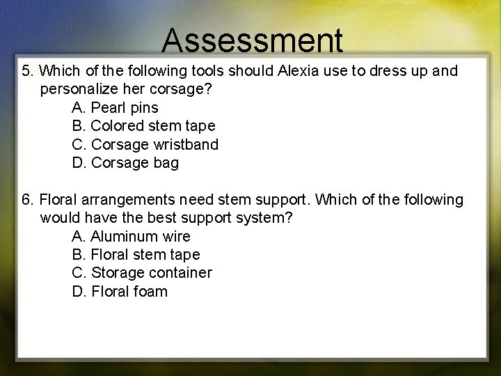 Assessment 5. Which of the following tools should Alexia use to dress up and