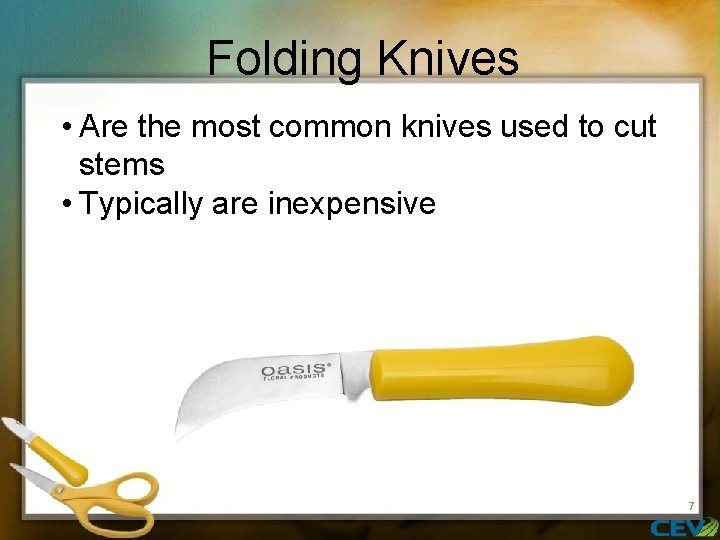 Folding Knives • Are the most common knives used to cut stems • Typically