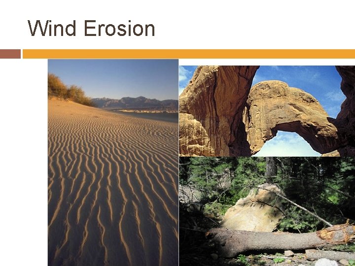 Wind Erosion 