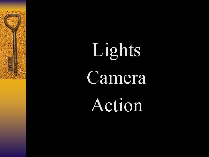 Lights Camera Action 