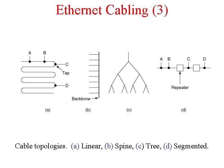 Ethernet Cabling (3) Cable topologies. (a) Linear, (b) Spine, (c) Tree, (d) Segmented. 