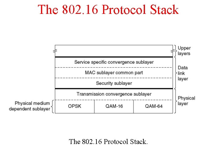 The 802. 16 Protocol Stack. 
