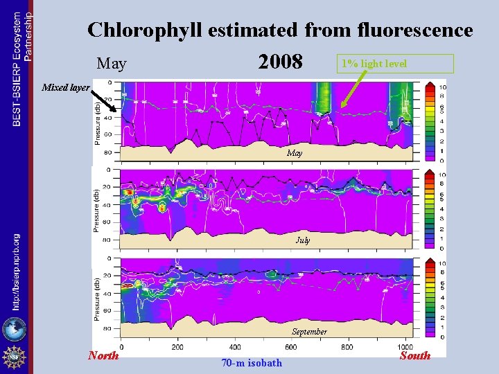 Chlorophyll estimated from fluorescence 1% light level May 2008 Mixed layer May July September