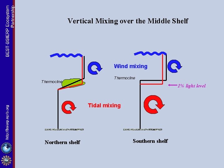 Vertical Mixing over the Middle Shelf Wind mixing Thermocline 1% light level Tidal mixing