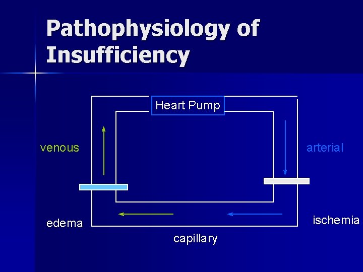 Pathophysiology of Insufficiency Heart Pump venous arterial ischemia edema capillary 