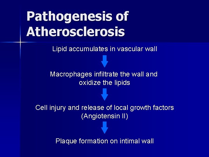 Pathogenesis of Atherosclerosis Lipid accumulates in vascular wall Macrophages infiltrate the wall and oxidize