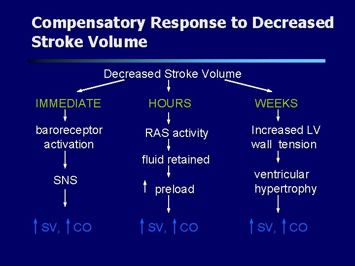 Compensatory Response to Decreased Stroke Volume IMMEDIATE baroreceptor activation HOURS RAS activity WEEKS Increased