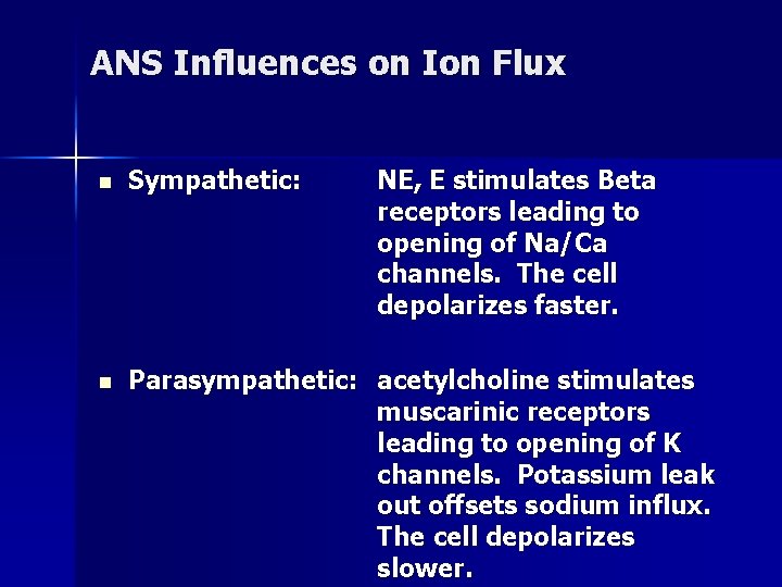 ANS Influences on Ion Flux n Sympathetic: NE, E stimulates Beta receptors leading to