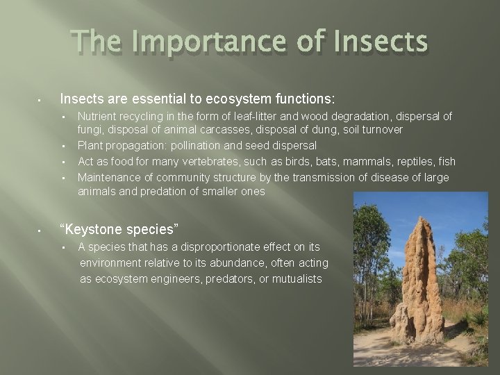 The Importance of Insects • Insects are essential to ecosystem functions: • • •