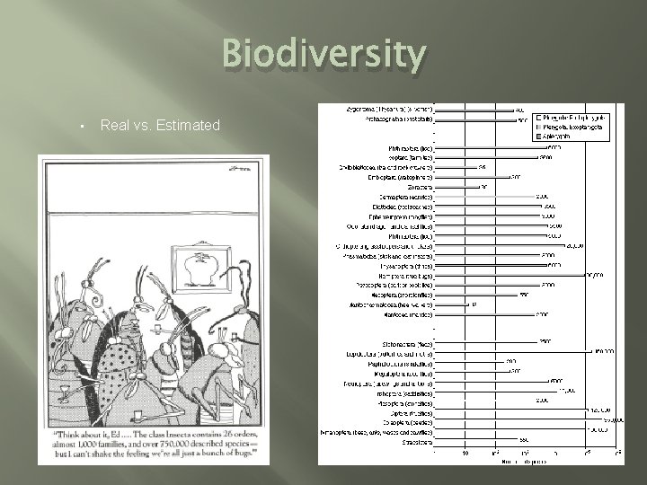 Biodiversity • Real vs. Estimated 