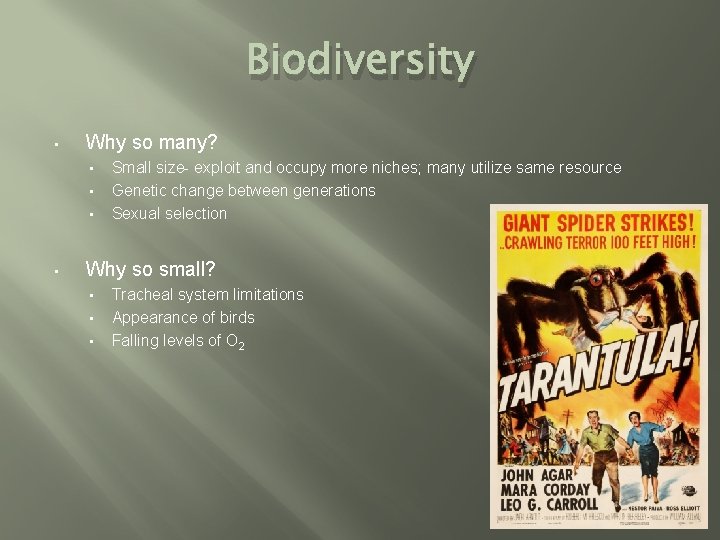 Biodiversity • Why so many? • • Small size- exploit and occupy more niches;
