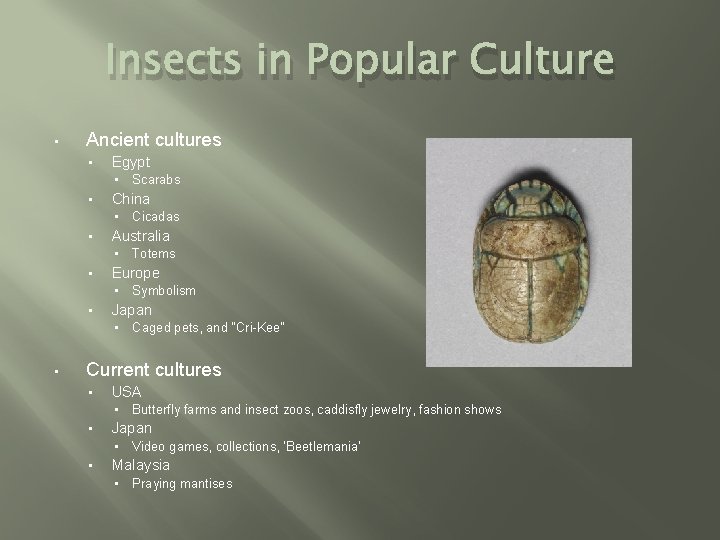 Insects in Popular Culture • Ancient cultures • Egypt • • China • •