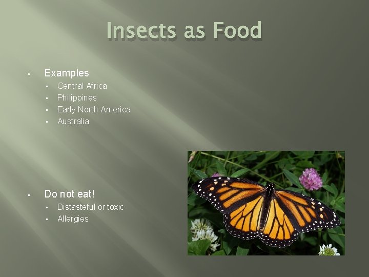 Insects as Food • Examples • • • Central Africa Philippines Early North America