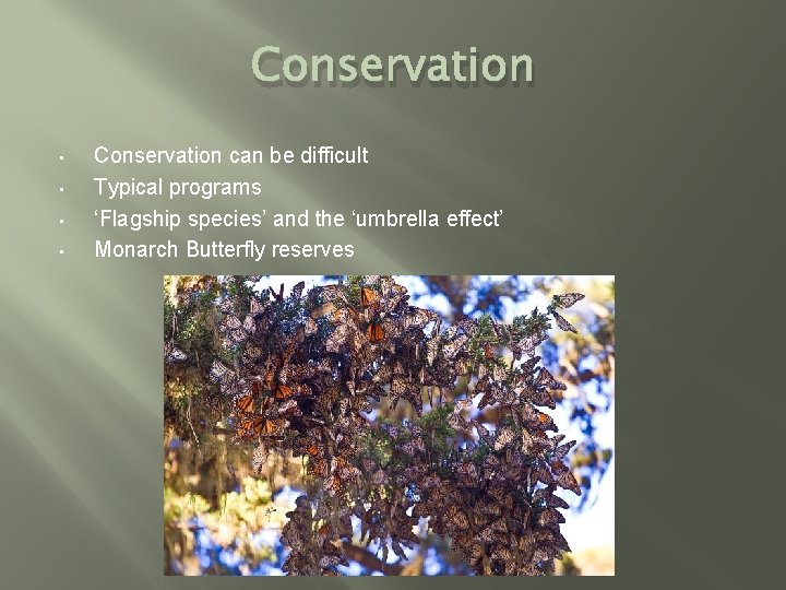 Conservation • • Conservation can be difficult Typical programs ‘Flagship species’ and the ‘umbrella