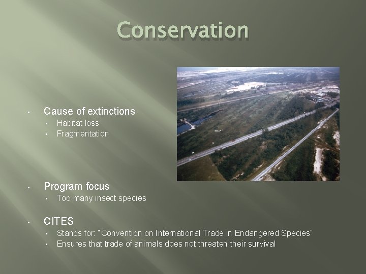 Conservation • Cause of extinctions • • • Program focus • • Habitat loss