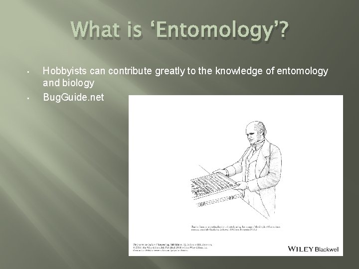 What is ‘Entomology’? • • Hobbyists can contribute greatly to the knowledge of entomology