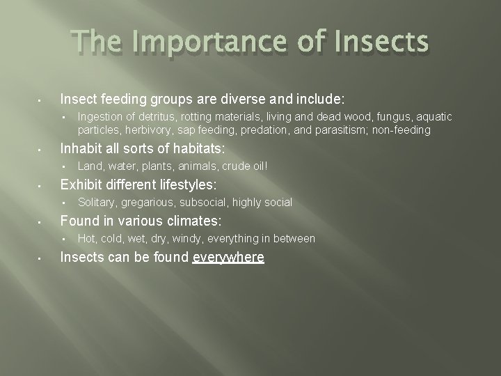 The Importance of Insects • Insect feeding groups are diverse and include: • •