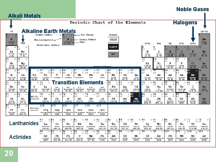 Noble Gases Alkali Metals Halogens Alkaline Earth Metals and Nonmetals Transition Elements Lanthanides Actinides