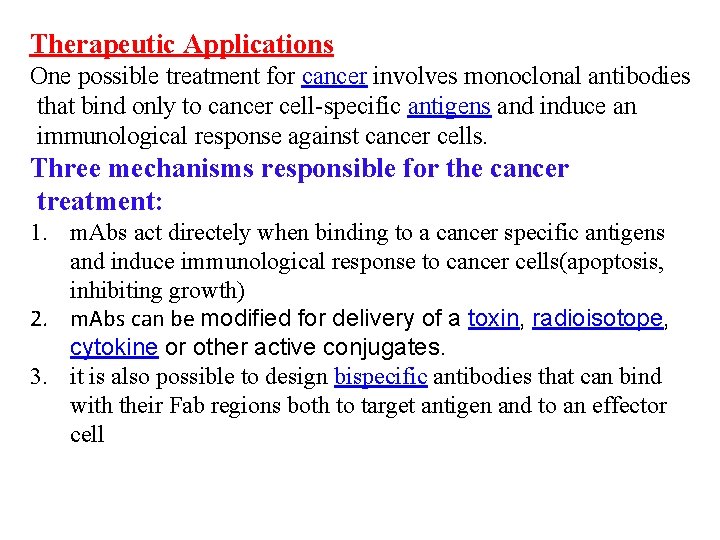 Therapeutic Applications One possible treatment for cancer involves monoclonal antibodies that bind only to
