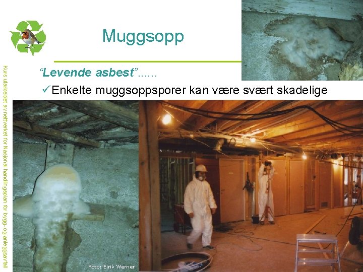 Muggsopp Kurs utarbeidet av nettverket for Nasjonal handlingsplan for bygg- og anleggsavfall “Levende asbest”.