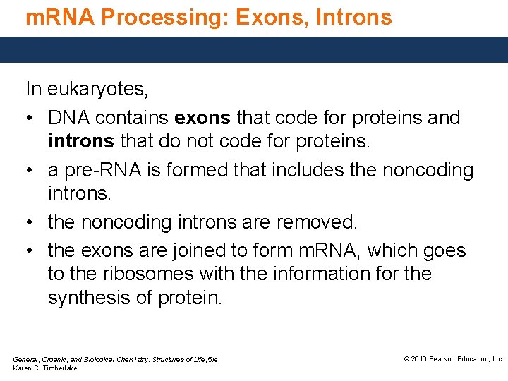 m. RNA Processing: Exons, Introns In eukaryotes, • DNA contains exons that code for