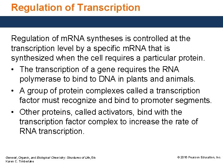 Regulation of Transcription Regulation of m. RNA syntheses is controlled at the transcription level