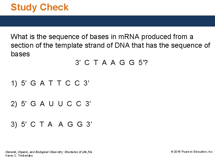 Study Check What is the sequence of bases in m. RNA produced from a