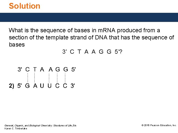 Solution What is the sequence of bases in m. RNA produced from a section