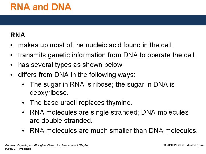 RNA and DNA RNA • makes up most of the nucleic acid found in
