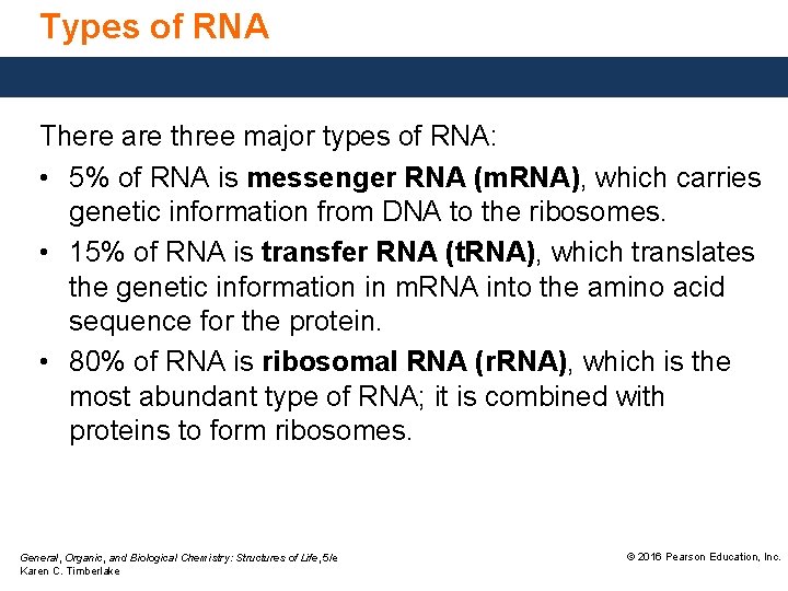 Types of RNA There are three major types of RNA: • 5% of RNA