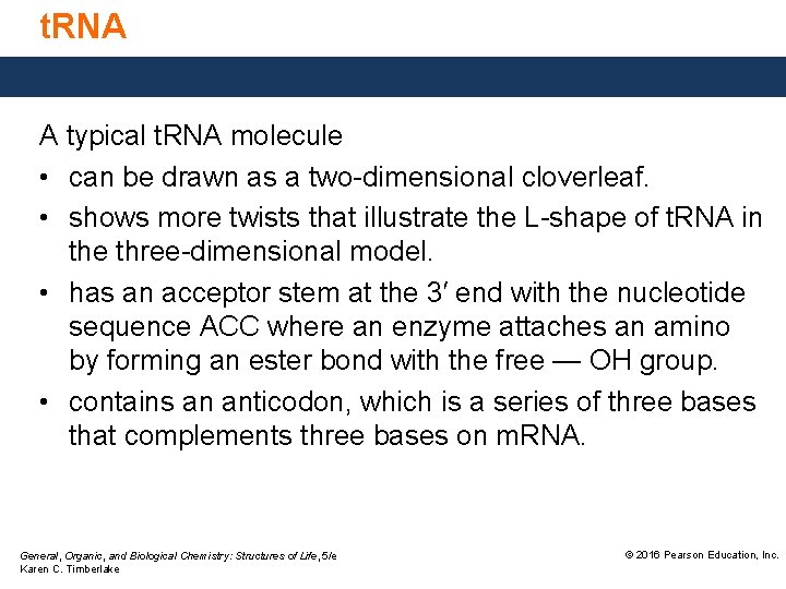 t. RNA A typical t. RNA molecule • can be drawn as a two-dimensional