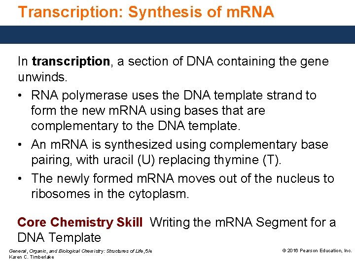 Transcription: Synthesis of m. RNA In transcription, a section of DNA containing the gene