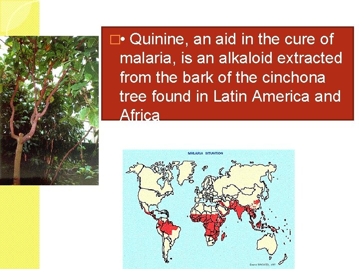 � • Quinine, an aid in the cure of malaria, is an alkaloid extracted