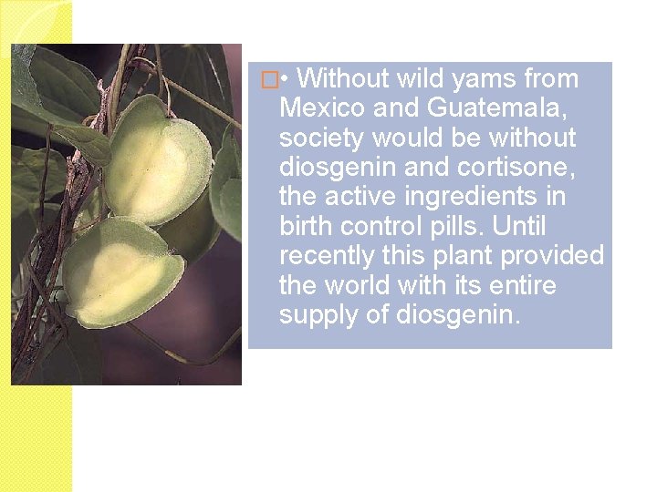 � • Without wild yams from Mexico and Guatemala, society would be without diosgenin