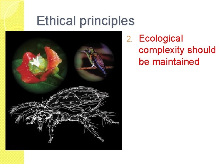 Ethical principles 2. Ecological complexity should be maintained 