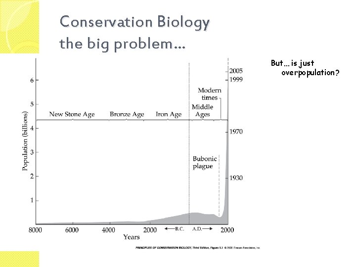 Conservation Biology the big problem… But… is just overpopulation? 