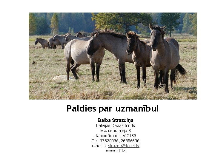 Paldies par uzmanību! Baiba Strazdiņa Latvijas Dabas fonds Mazcenu aleja 3 Jaunmārupe, LV 2166