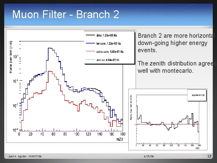 Muon Filter - Branch 2 § Branch 2 are more horizontal down-going higher energy