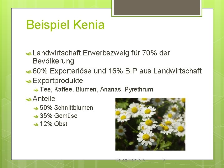 Beispiel Kenia Landwirtschaft Erwerbszweig für 70% der Bevölkerung 60% Exporterlöse und 16% BIP aus